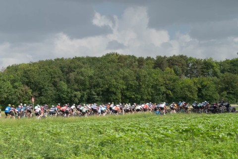 dsc1007